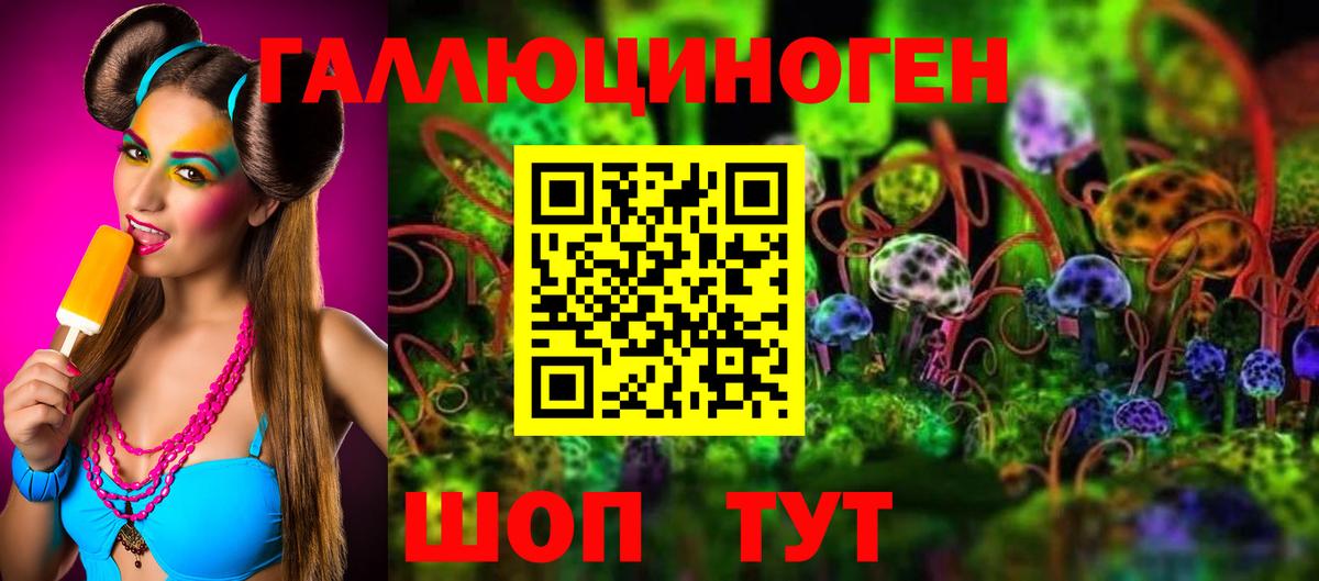 Псилоцибиновые грибы Psilocybine cubensis Мелеуз